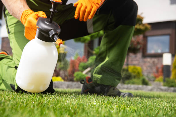Best Affordable Pest Control Services  in Elmsford, NY